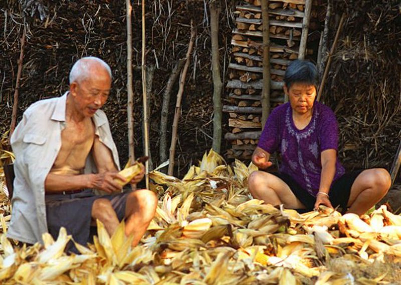 搬家公司的选择往往让人头疼，如何在众多选项中找到既可靠又经济的选择呢？让我们一起来看看几家靠谱的搬家公司，并提供一些实用建议。